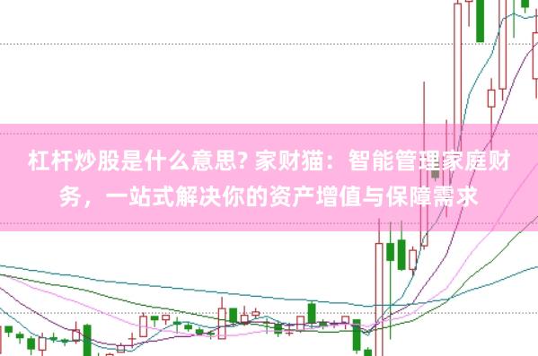 杠杆炒股是什么意思? 家财猫：智能管理家庭财务，一站式解决你的资产增值与保障需求