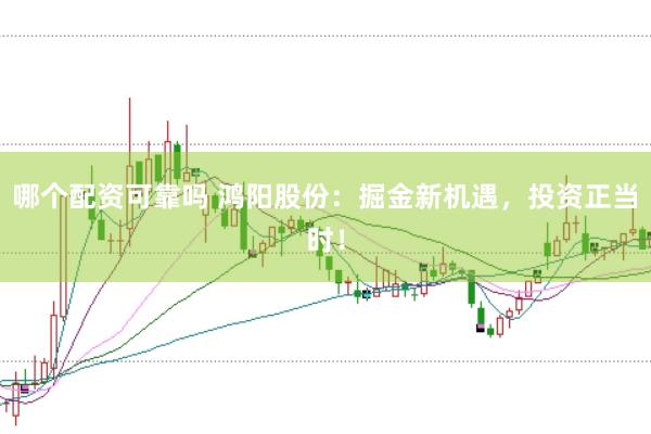 哪个配资可靠吗 鸿阳股份：掘金新机遇，投资正当时！
