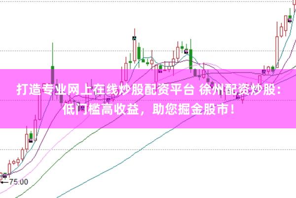 打造专业网上在线炒股配资平台 徐州配资炒股：低门槛高收益，助您掘金股市！