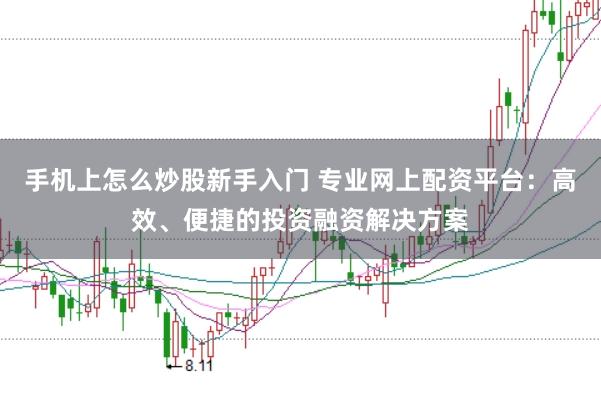 手机上怎么炒股新手入门 专业网上配资平台：高效、便捷的投资融资解决方案