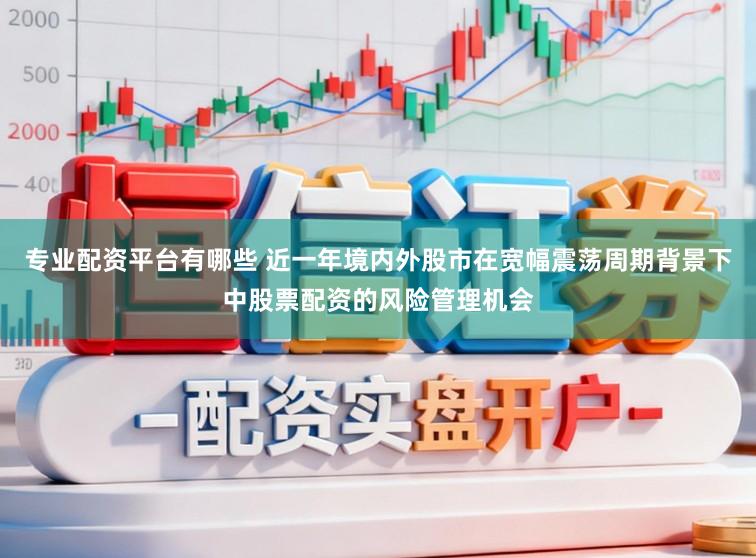 专业配资平台有哪些 近一年境内外股市在宽幅震荡周期背景下中股票配资的风险管理机会