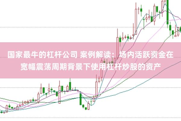 国家最牛的杠杆公司 案例解读：场内活跃资金在宽幅震荡周期背景下使用杠杆炒股的资产