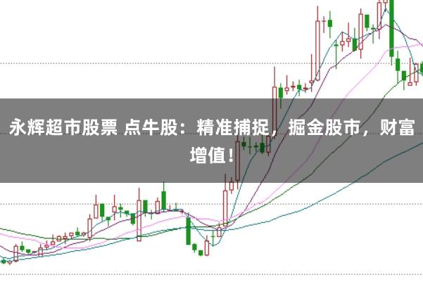 永辉超市股票 点牛股：精准捕捉，掘金股市，财富增值！